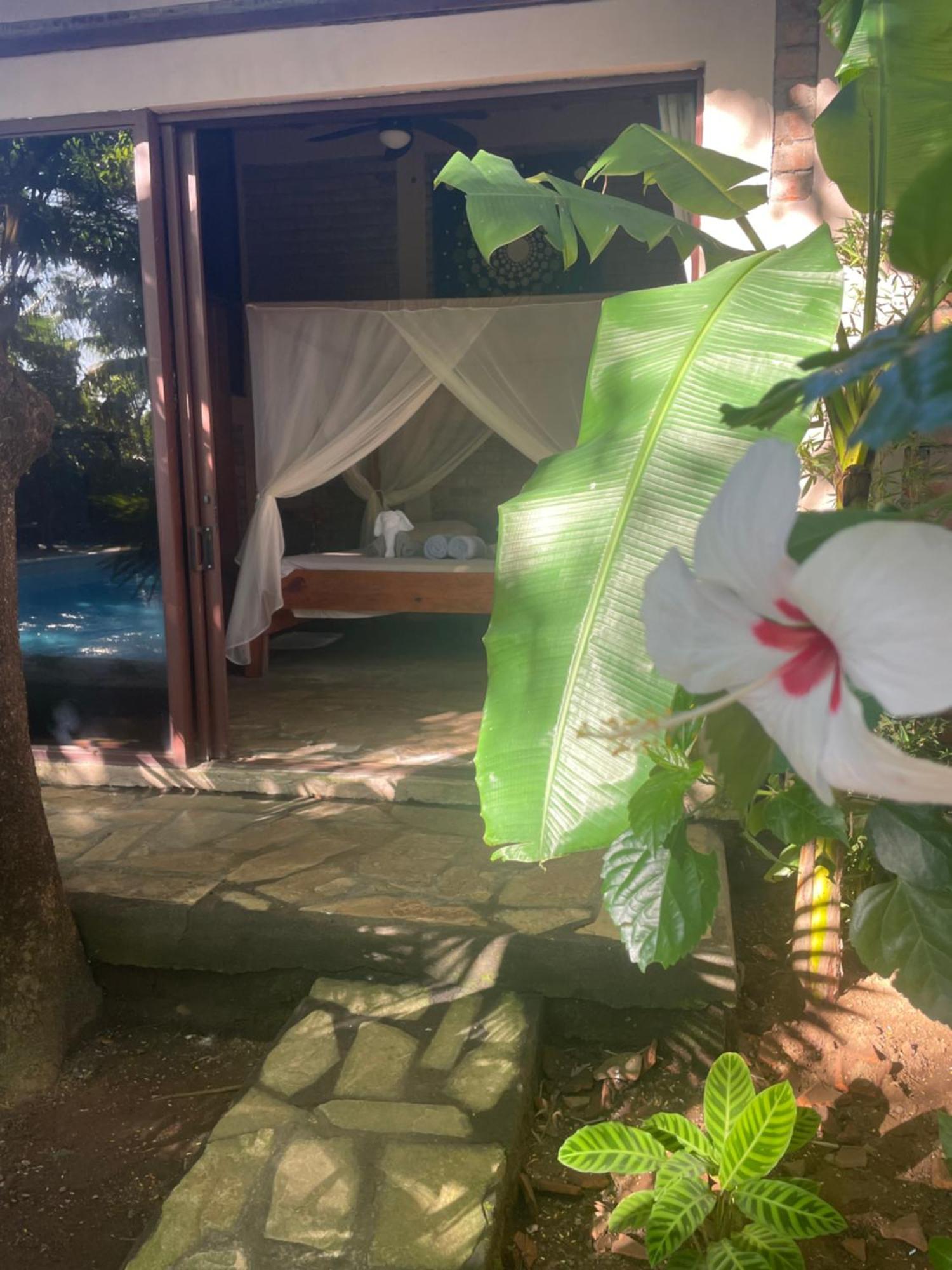 Hostal Casa Abierta Leon Exterior photo